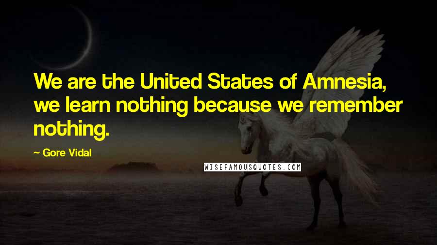 Gore Vidal Quotes: We are the United States of Amnesia, we learn nothing because we remember nothing.