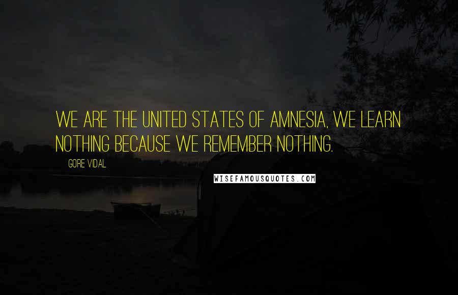 Gore Vidal Quotes: We are the United States of Amnesia, we learn nothing because we remember nothing.