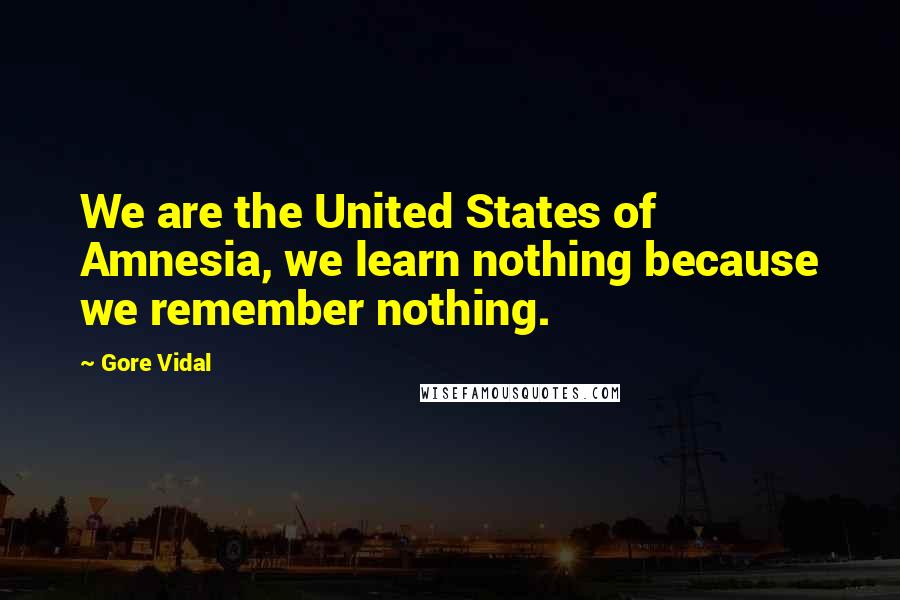 Gore Vidal Quotes: We are the United States of Amnesia, we learn nothing because we remember nothing.