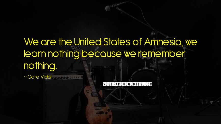 Gore Vidal Quotes: We are the United States of Amnesia, we learn nothing because we remember nothing.