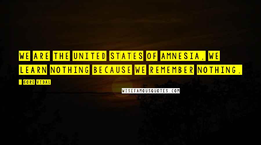 Gore Vidal Quotes: We are the United States of Amnesia, we learn nothing because we remember nothing.