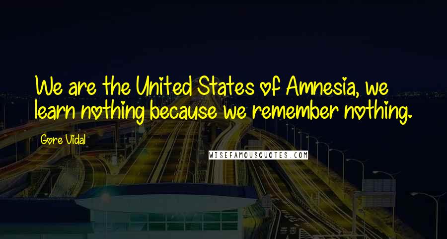 Gore Vidal Quotes: We are the United States of Amnesia, we learn nothing because we remember nothing.