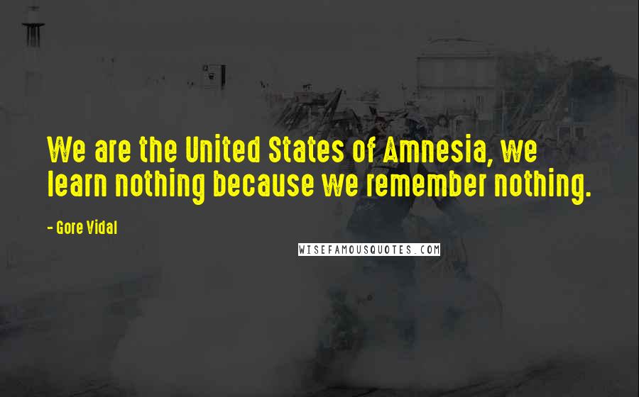 Gore Vidal Quotes: We are the United States of Amnesia, we learn nothing because we remember nothing.