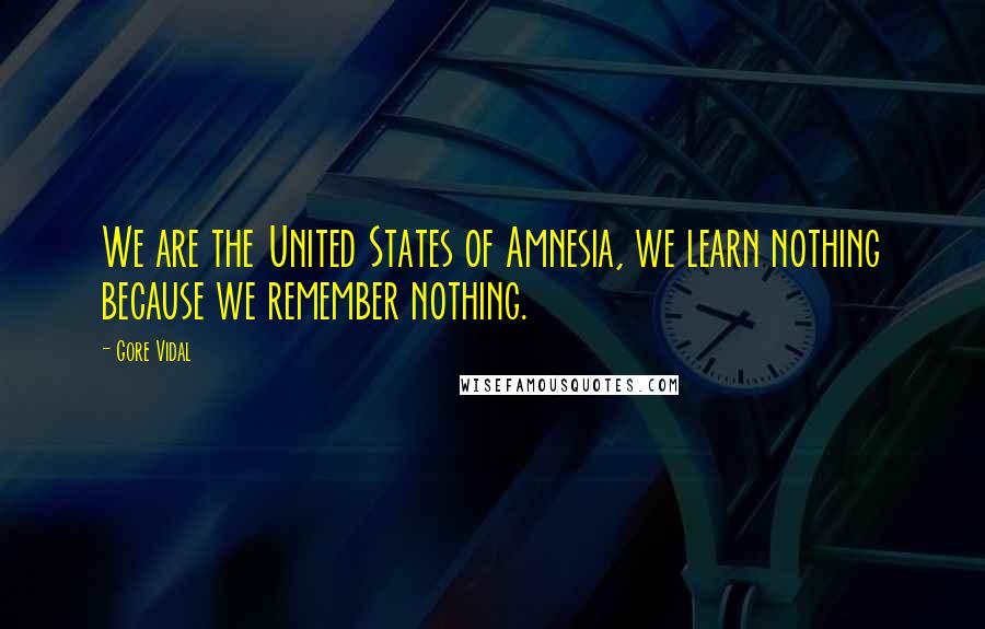 Gore Vidal Quotes: We are the United States of Amnesia, we learn nothing because we remember nothing.