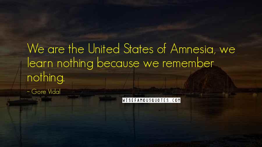 Gore Vidal Quotes: We are the United States of Amnesia, we learn nothing because we remember nothing.