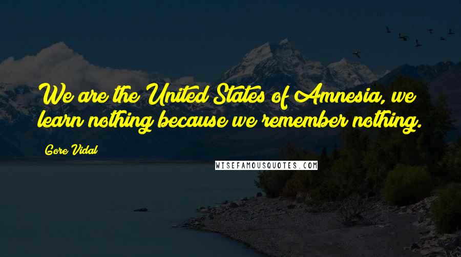 Gore Vidal Quotes: We are the United States of Amnesia, we learn nothing because we remember nothing.