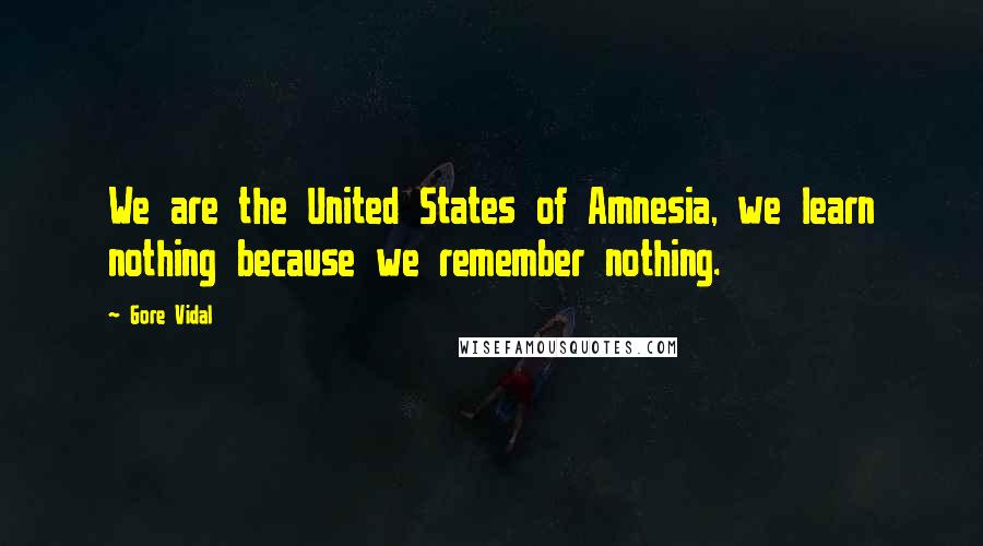 Gore Vidal Quotes: We are the United States of Amnesia, we learn nothing because we remember nothing.
