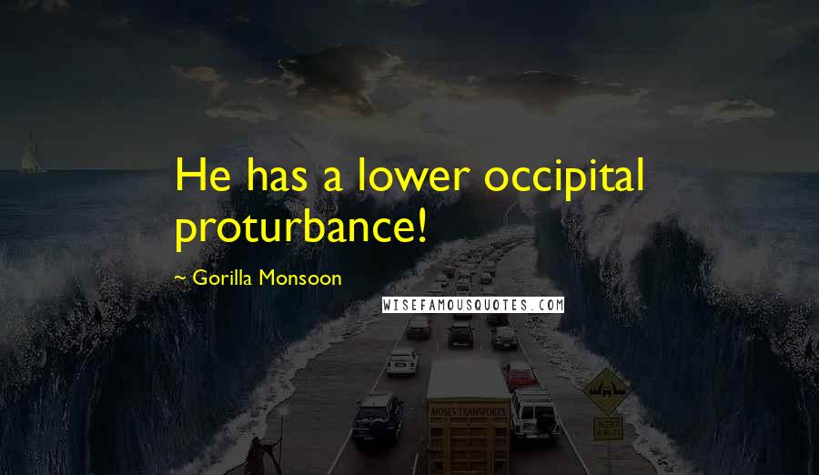Gorilla Monsoon Quotes: He has a lower occipital proturbance!