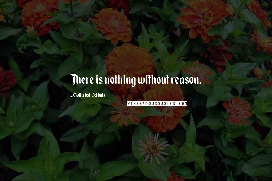 Gottfried Leibniz Quotes: There is nothing without reason.