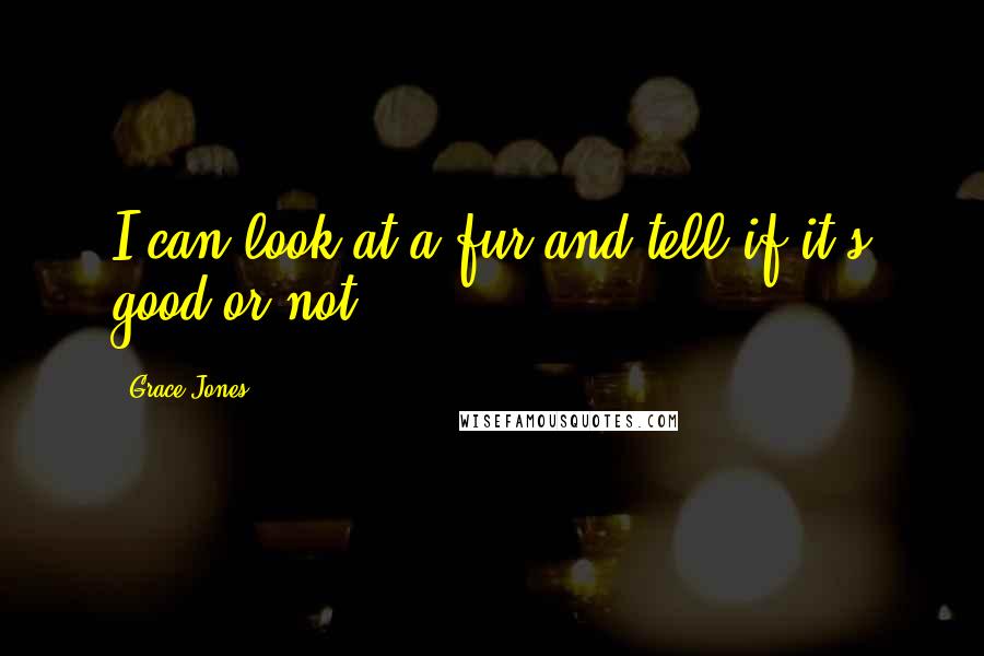 Grace Jones Quotes: I can look at a fur and tell if it's good or not.