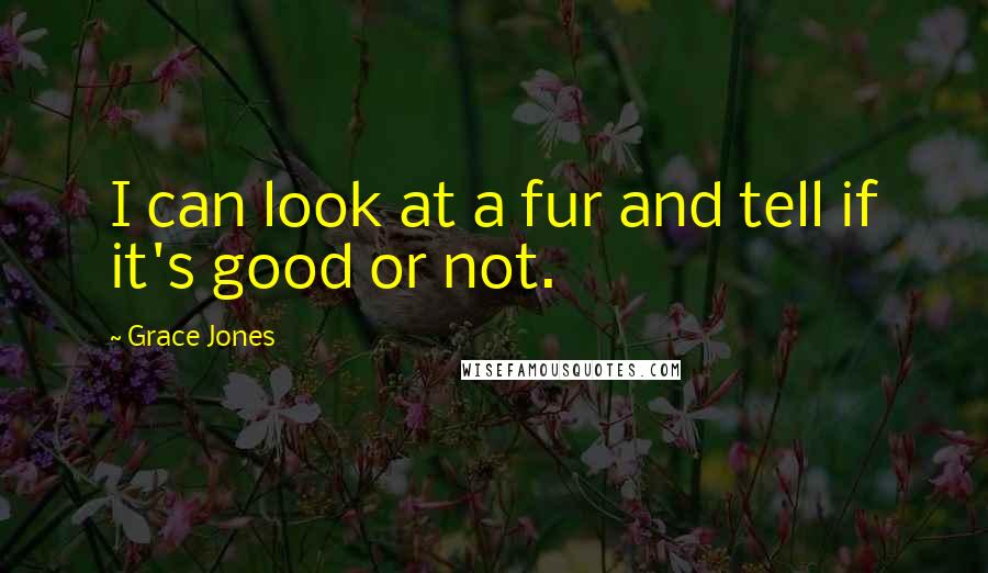 Grace Jones Quotes: I can look at a fur and tell if it's good or not.