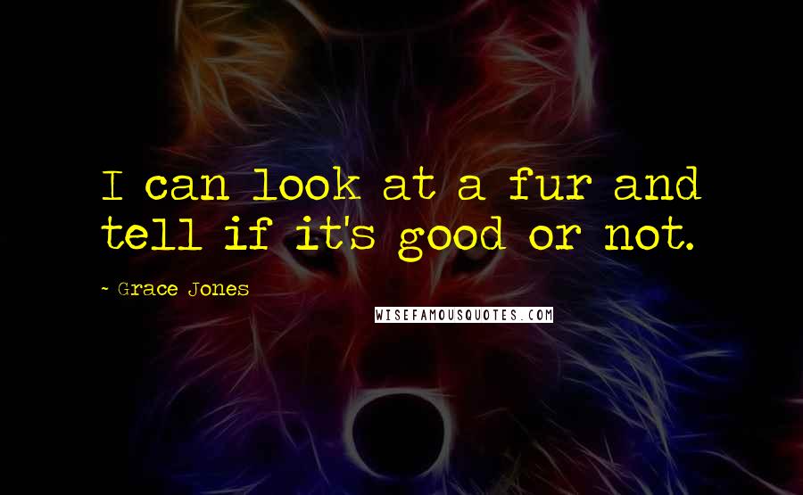Grace Jones Quotes: I can look at a fur and tell if it's good or not.
