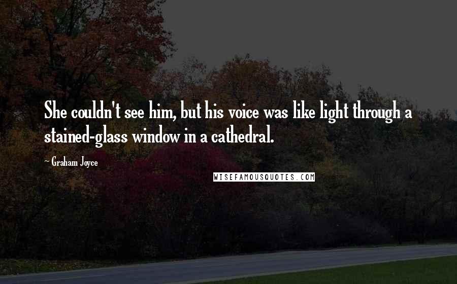 Graham Joyce Quotes: She couldn't see him, but his voice was like light through a stained-glass window in a cathedral.