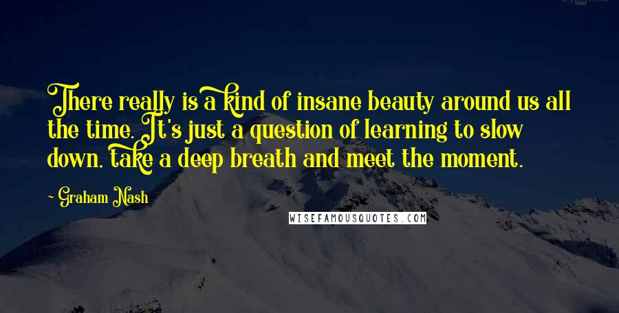 Graham Nash Quotes: There really is a kind of insane beauty around us all the time. It's just a question of learning to slow down, take a deep breath and meet the moment.