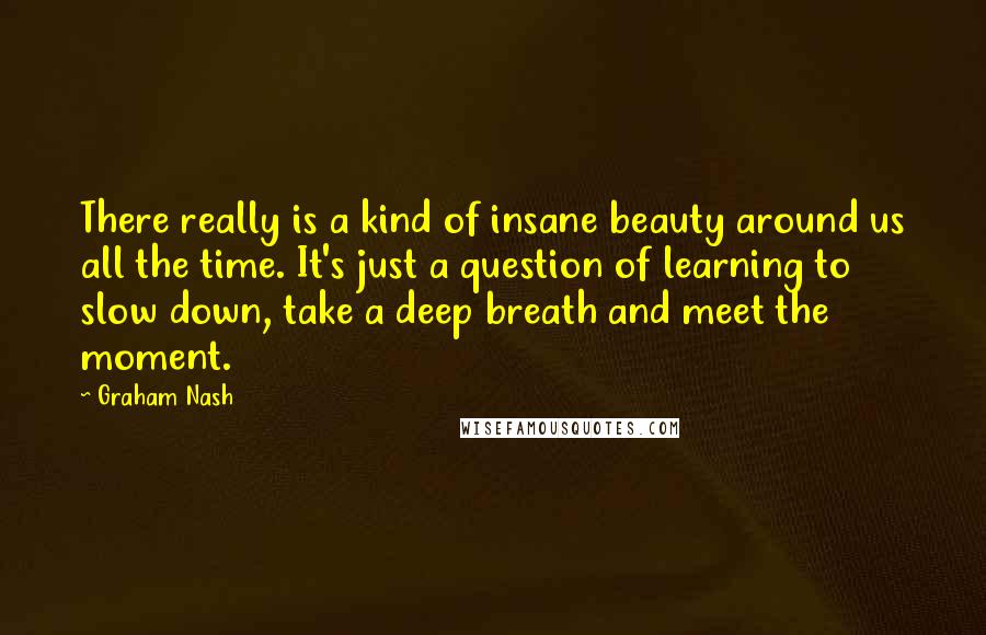 Graham Nash Quotes: There really is a kind of insane beauty around us all the time. It's just a question of learning to slow down, take a deep breath and meet the moment.