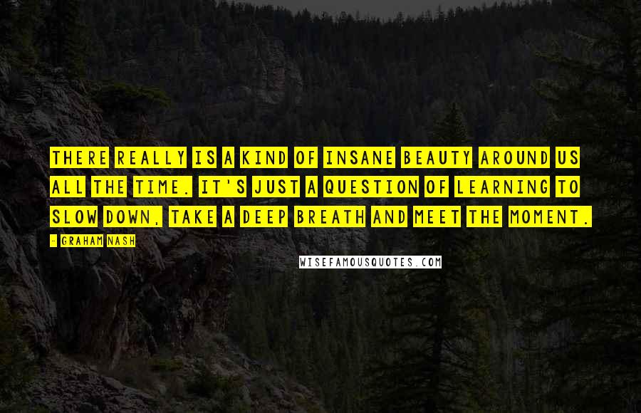 Graham Nash Quotes: There really is a kind of insane beauty around us all the time. It's just a question of learning to slow down, take a deep breath and meet the moment.