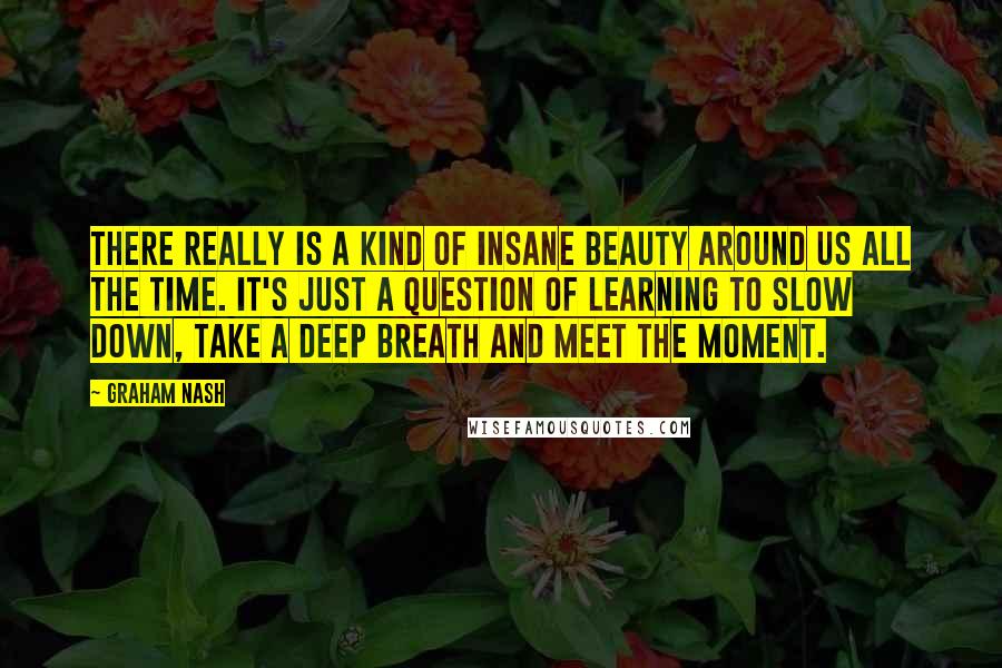 Graham Nash Quotes: There really is a kind of insane beauty around us all the time. It's just a question of learning to slow down, take a deep breath and meet the moment.