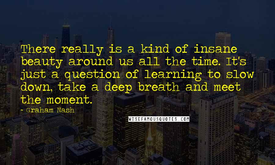 Graham Nash Quotes: There really is a kind of insane beauty around us all the time. It's just a question of learning to slow down, take a deep breath and meet the moment.