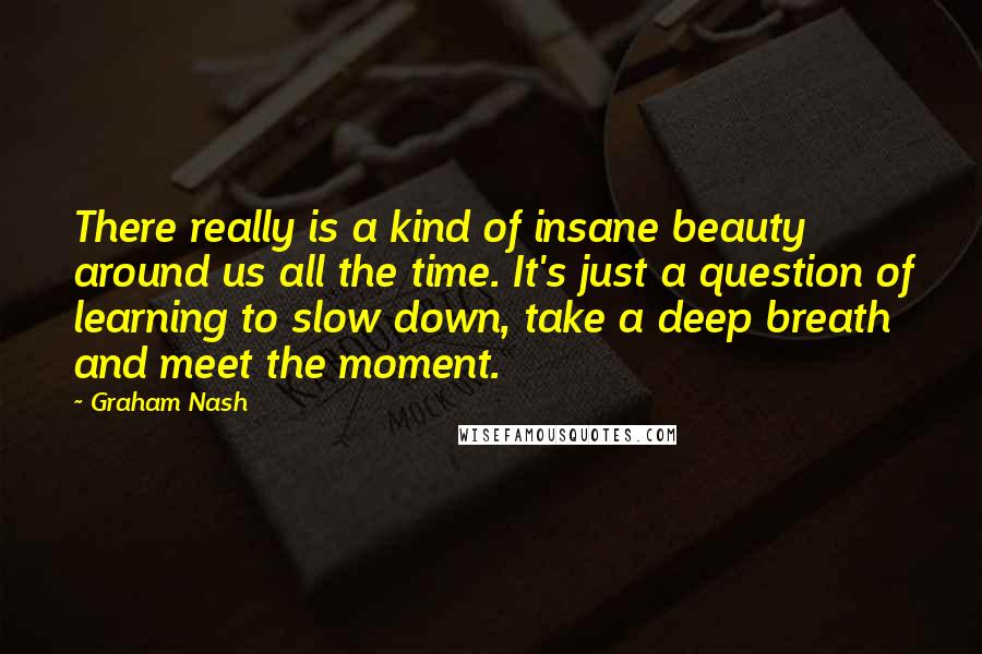 Graham Nash Quotes: There really is a kind of insane beauty around us all the time. It's just a question of learning to slow down, take a deep breath and meet the moment.