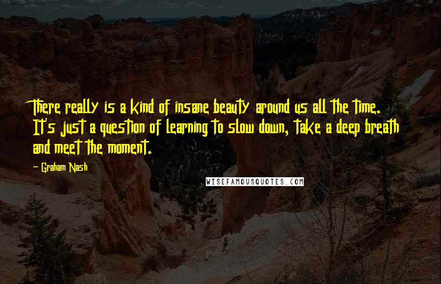 Graham Nash Quotes: There really is a kind of insane beauty around us all the time. It's just a question of learning to slow down, take a deep breath and meet the moment.