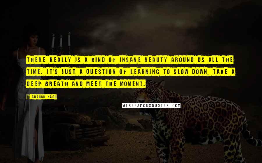 Graham Nash Quotes: There really is a kind of insane beauty around us all the time. It's just a question of learning to slow down, take a deep breath and meet the moment.