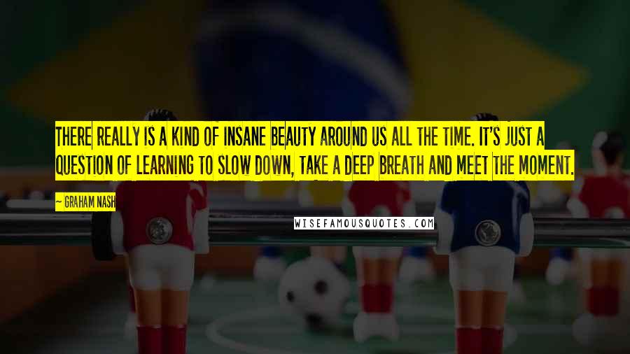 Graham Nash Quotes: There really is a kind of insane beauty around us all the time. It's just a question of learning to slow down, take a deep breath and meet the moment.