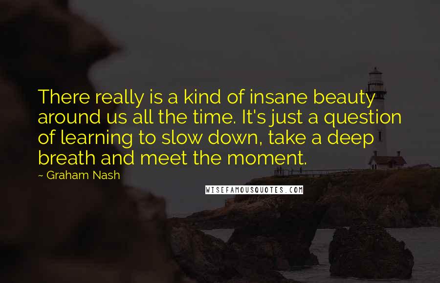 Graham Nash Quotes: There really is a kind of insane beauty around us all the time. It's just a question of learning to slow down, take a deep breath and meet the moment.