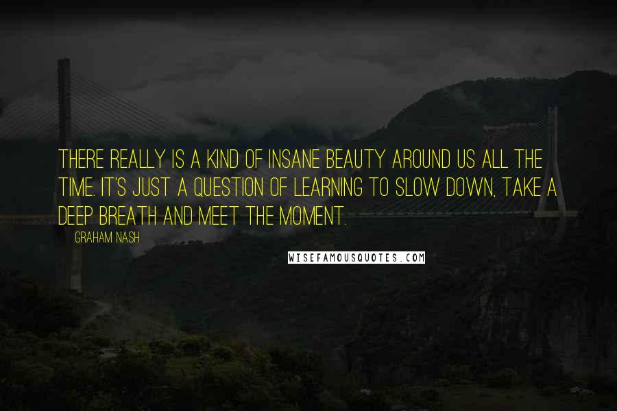 Graham Nash Quotes: There really is a kind of insane beauty around us all the time. It's just a question of learning to slow down, take a deep breath and meet the moment.