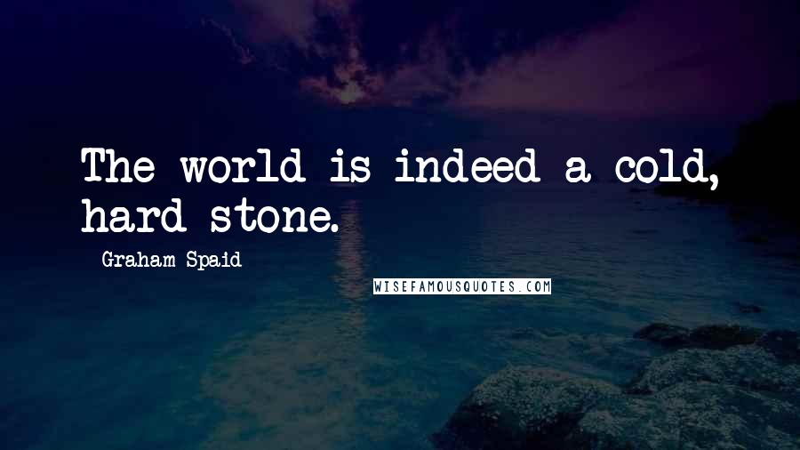 Graham Spaid Quotes: The world is indeed a cold, hard stone.