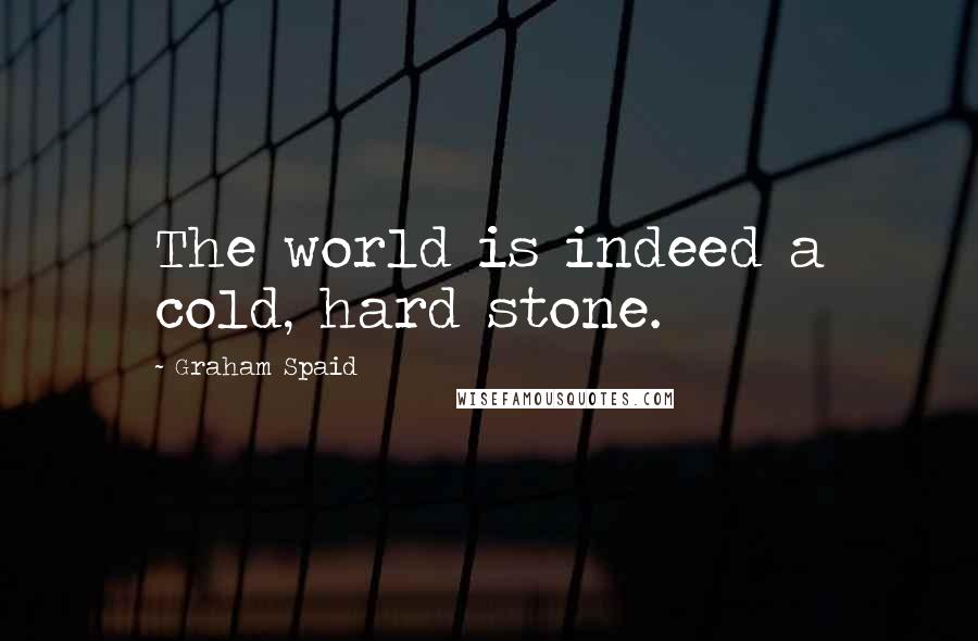 Graham Spaid Quotes: The world is indeed a cold, hard stone.