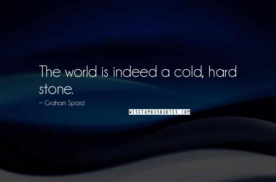 Graham Spaid Quotes: The world is indeed a cold, hard stone.