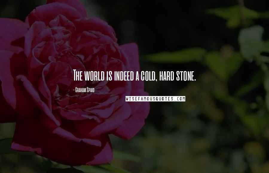 Graham Spaid Quotes: The world is indeed a cold, hard stone.