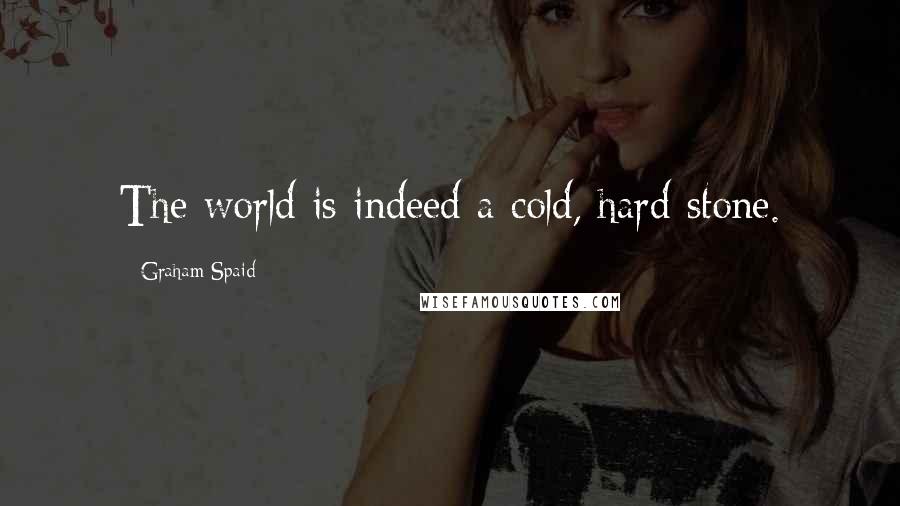 Graham Spaid Quotes: The world is indeed a cold, hard stone.