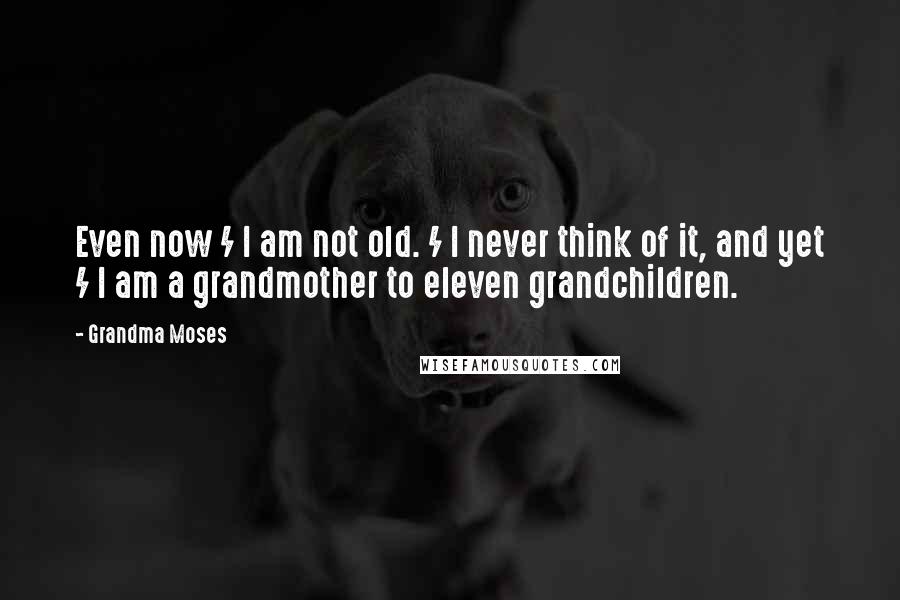 Grandma Moses Quotes: Even now / I am not old. / I never think of it, and yet / I am a grandmother to eleven grandchildren.