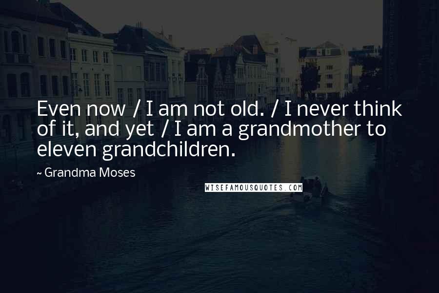 Grandma Moses Quotes: Even now / I am not old. / I never think of it, and yet / I am a grandmother to eleven grandchildren.