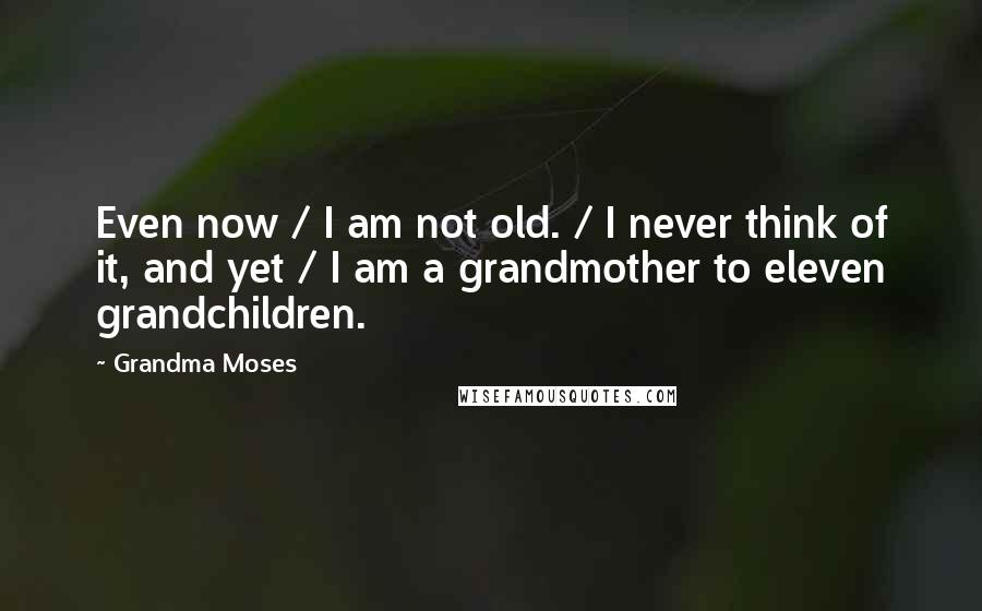 Grandma Moses Quotes: Even now / I am not old. / I never think of it, and yet / I am a grandmother to eleven grandchildren.