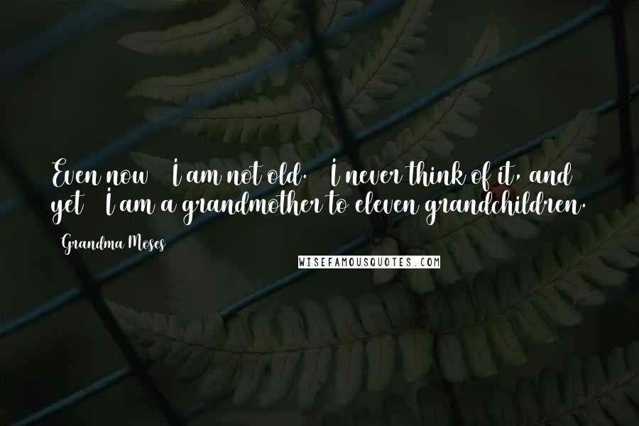 Grandma Moses Quotes: Even now / I am not old. / I never think of it, and yet / I am a grandmother to eleven grandchildren.