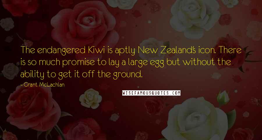 Grant McLachlan Quotes: The endangered Kiwi is aptly New Zealand's icon. There is so much promise to lay a large egg but without the ability to get it off the ground.