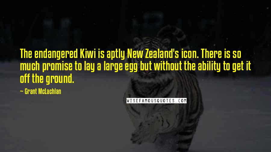 Grant McLachlan Quotes: The endangered Kiwi is aptly New Zealand's icon. There is so much promise to lay a large egg but without the ability to get it off the ground.