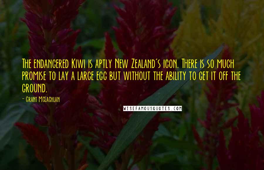 Grant McLachlan Quotes: The endangered Kiwi is aptly New Zealand's icon. There is so much promise to lay a large egg but without the ability to get it off the ground.