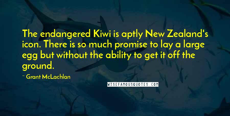 Grant McLachlan Quotes: The endangered Kiwi is aptly New Zealand's icon. There is so much promise to lay a large egg but without the ability to get it off the ground.
