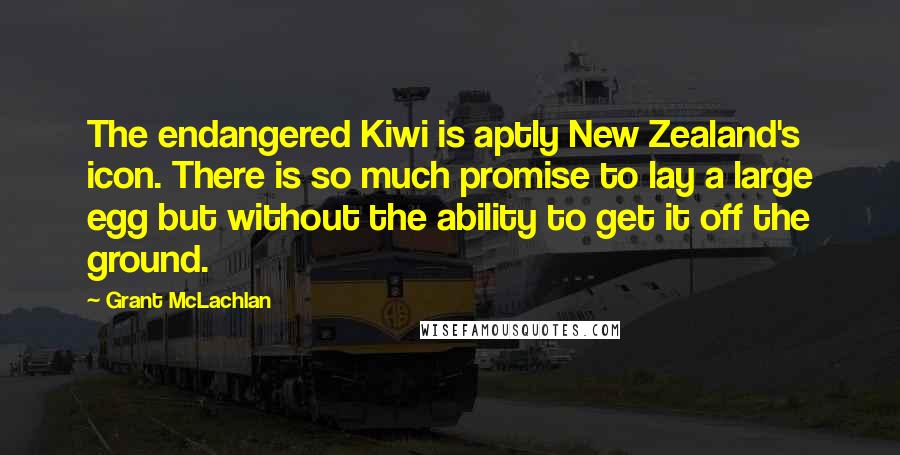 Grant McLachlan Quotes: The endangered Kiwi is aptly New Zealand's icon. There is so much promise to lay a large egg but without the ability to get it off the ground.