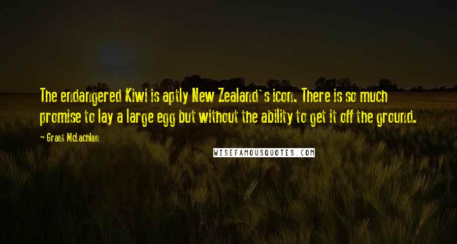 Grant McLachlan Quotes: The endangered Kiwi is aptly New Zealand's icon. There is so much promise to lay a large egg but without the ability to get it off the ground.