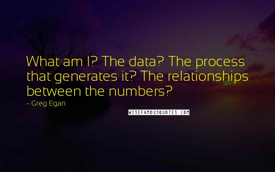 Greg Egan Quotes: What am I? The data? The process that generates it? The relationships between the numbers?