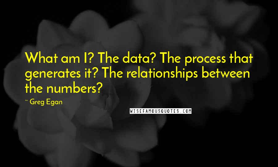 Greg Egan Quotes: What am I? The data? The process that generates it? The relationships between the numbers?