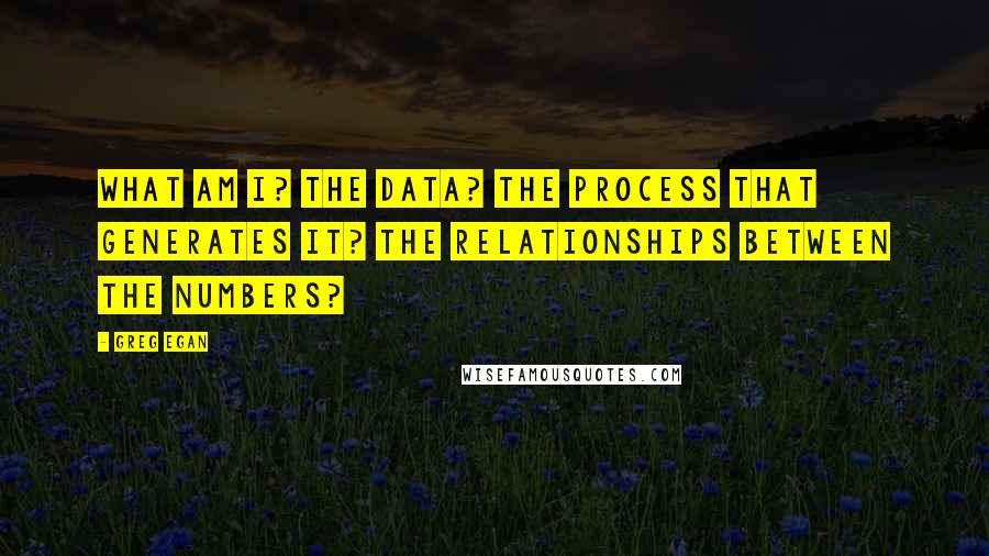 Greg Egan Quotes: What am I? The data? The process that generates it? The relationships between the numbers?