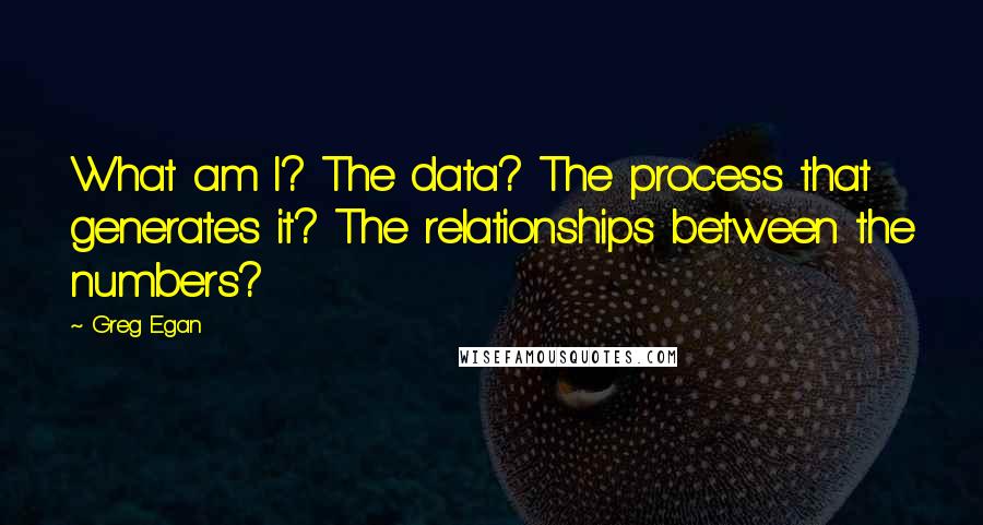 Greg Egan Quotes: What am I? The data? The process that generates it? The relationships between the numbers?
