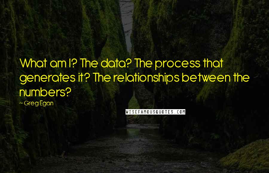 Greg Egan Quotes: What am I? The data? The process that generates it? The relationships between the numbers?