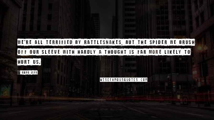 Greg Iles Quotes: We're all terrified by rattlesnakes, but the spider we brush off our sleeve with hardly a thought is far more likely to hurt us.