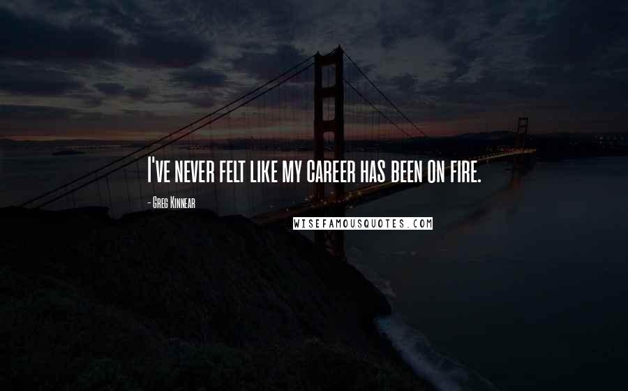 Greg Kinnear Quotes: I've never felt like my career has been on fire.